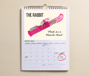 The year in Sex Toys | A sex toy calendar