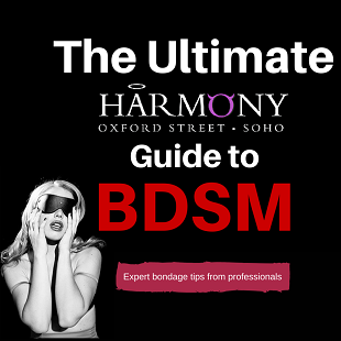 A Guide to BDSM – expert tips from professionals in kink