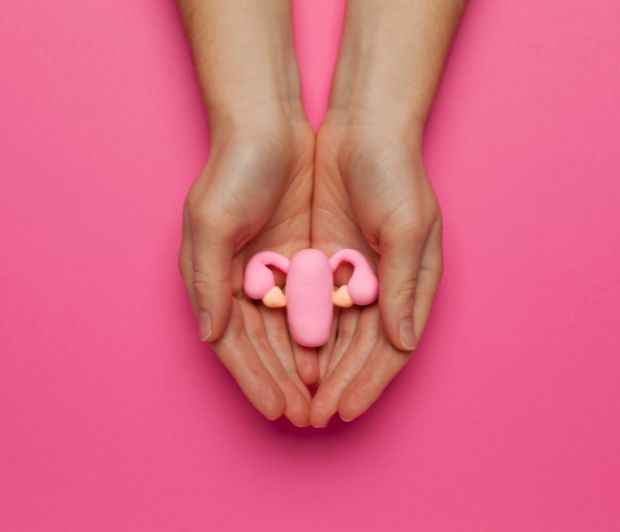 MythBusters – Sex and the Menopause
