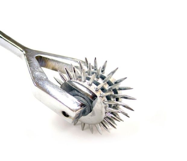 Creating Pleasurable Sensations using a Wartenberg Pinwheel