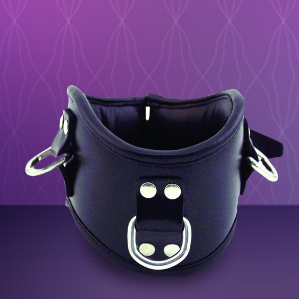 Collars & Leads Collars & Leads