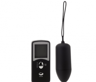 Egg Vibrator