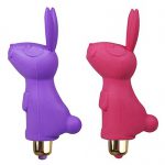 Ramsey Rabbit for clit stim